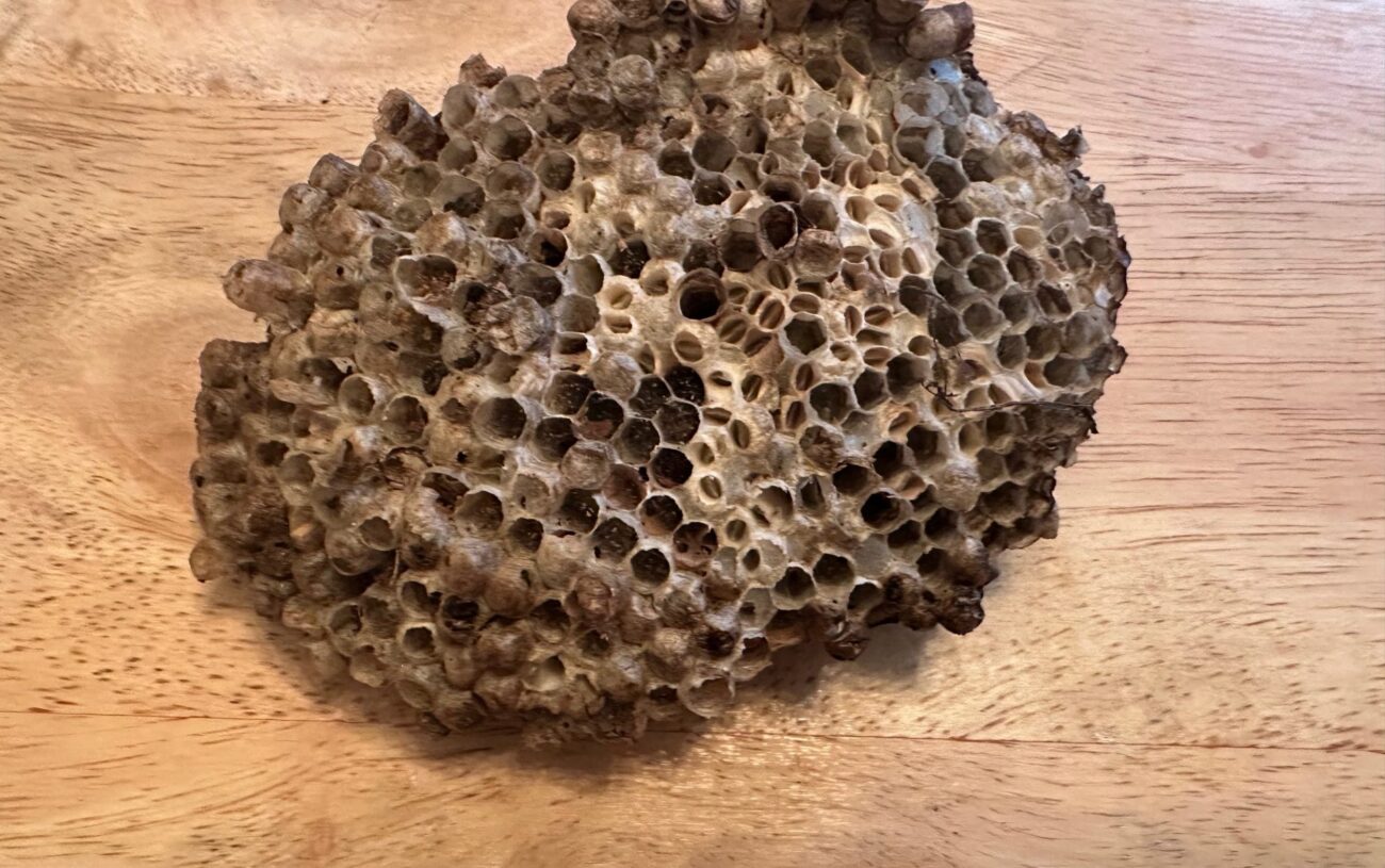 Of signs and wonders… and hope, even now!!!