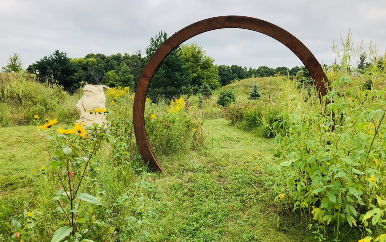 I might be one of the rocks!